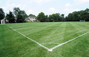 Clements Rereaction Center